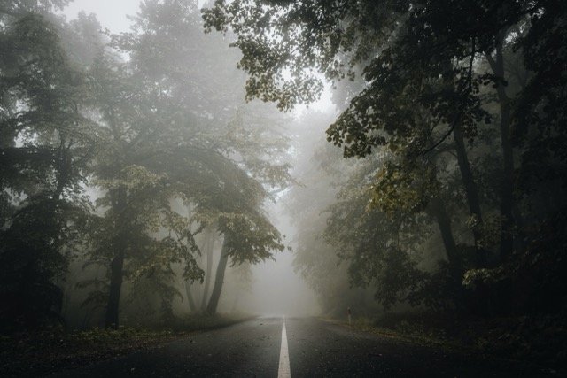 nebel-straße-autofahrer-versicherung