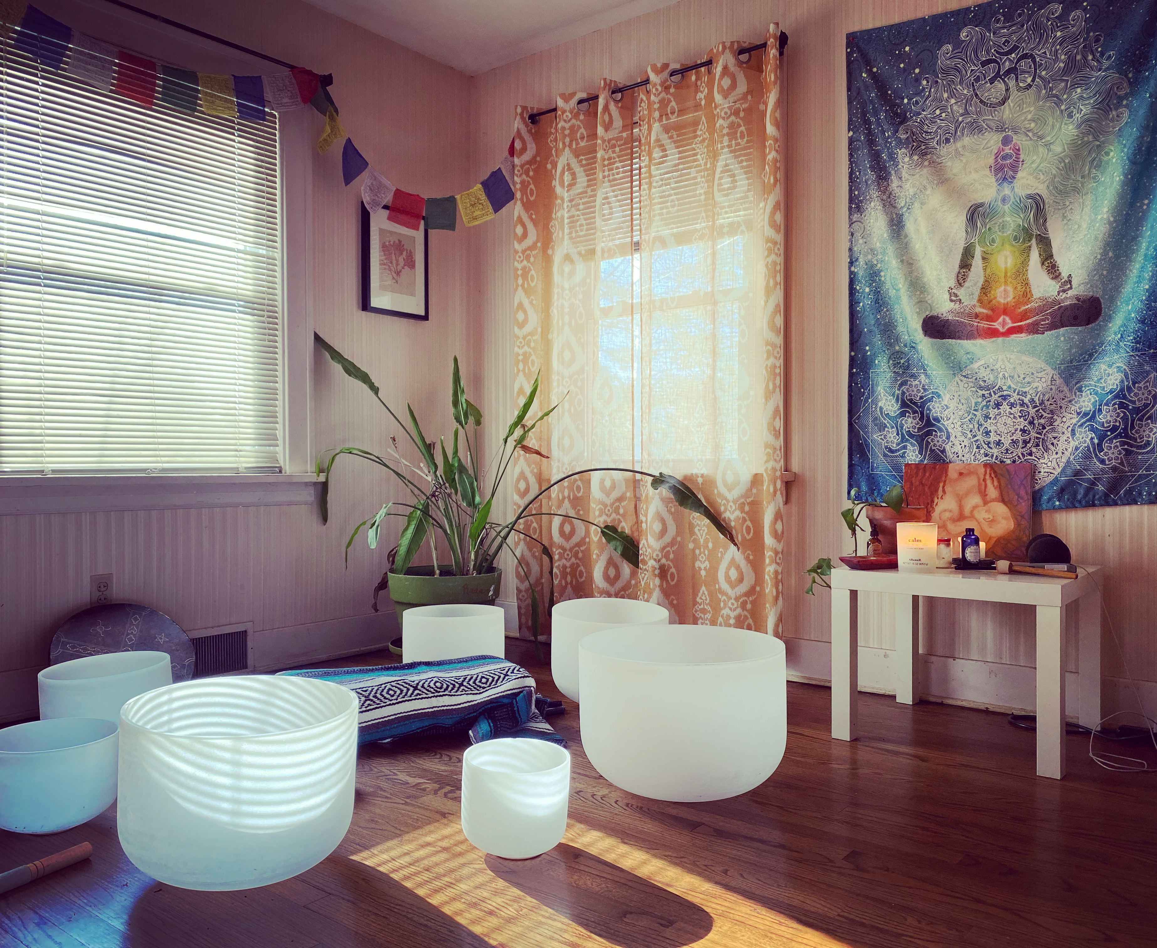 ROOTED HOLISTIC SESSIONS ~ Offered at Cote’s home office in Warrenville