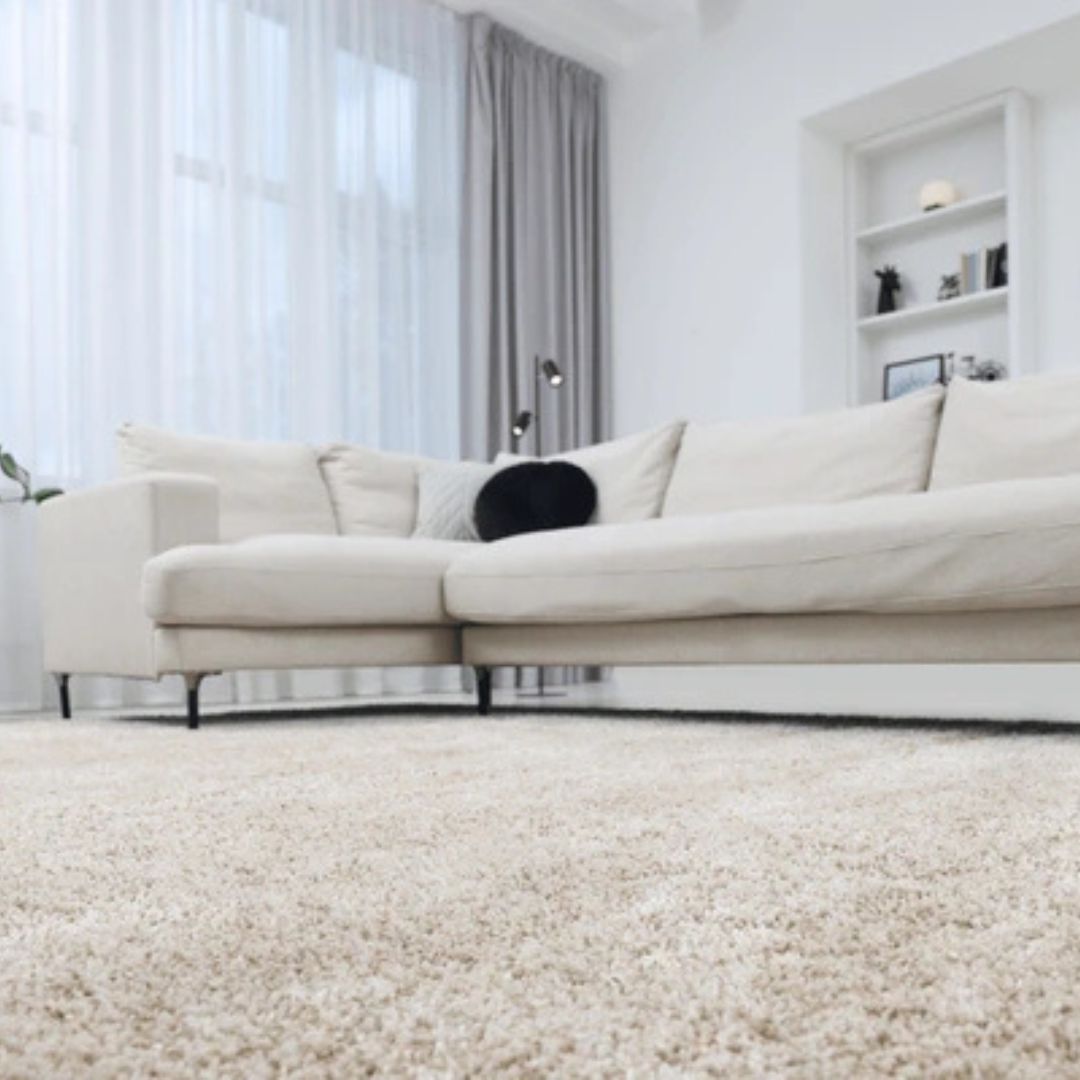Carpet interior design by tyrer wholesale floor covering Carpet interior design by tyrer wholesale floor covering