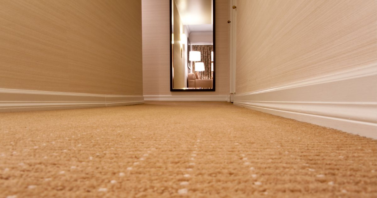 orange living room carpet orange living room carpet