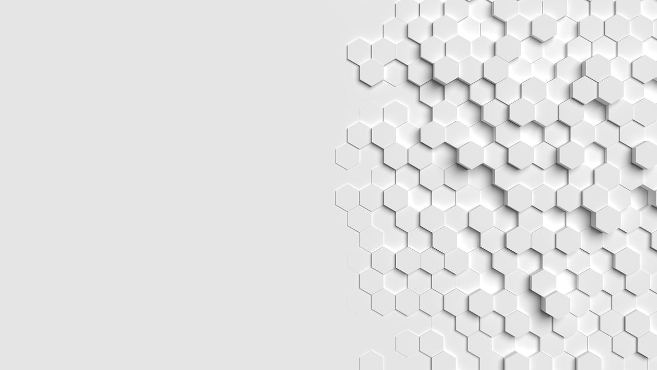 White Hexagonal Tiles White Hexagonal Tiles