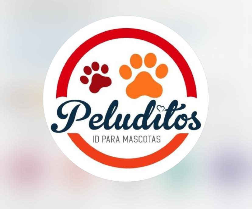 Guía completa de seguridad e identificación para tu mascota