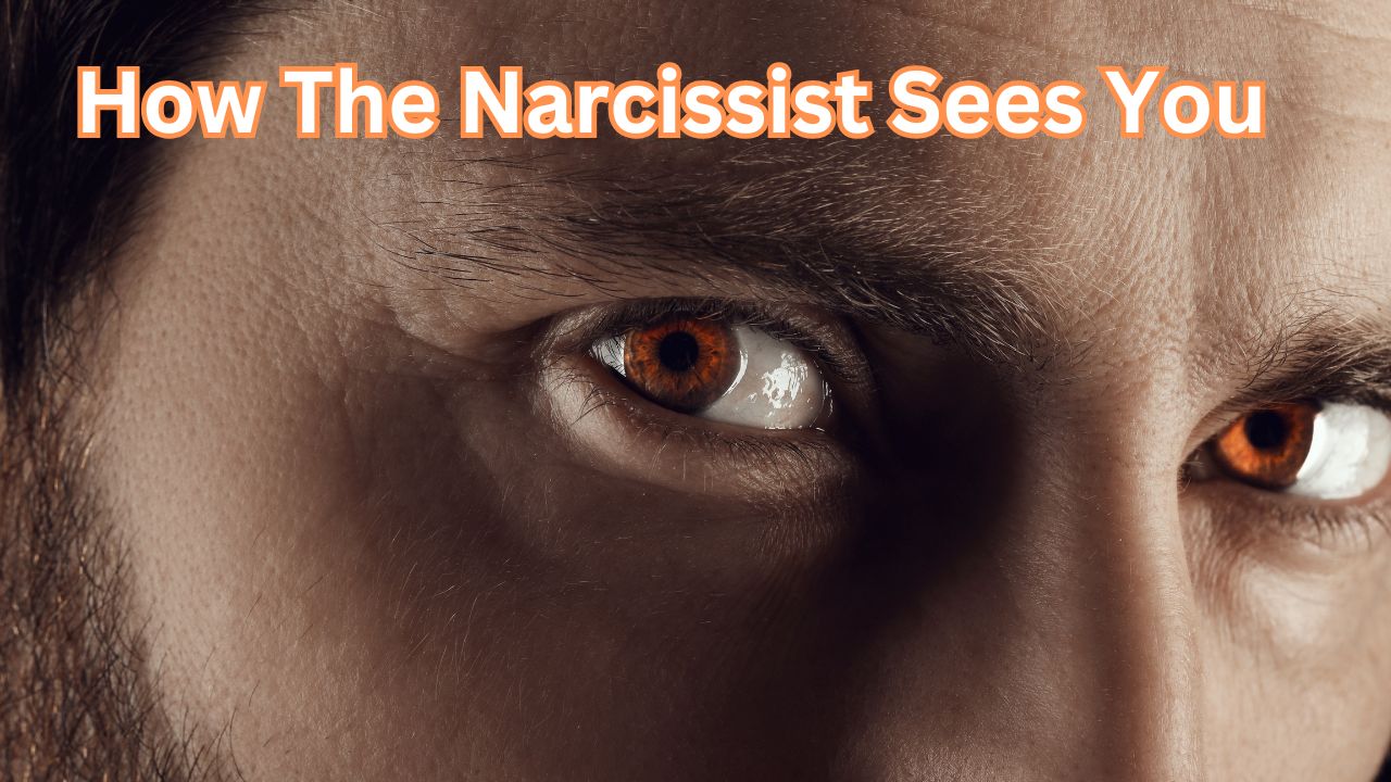 How The Narcissist Sees You