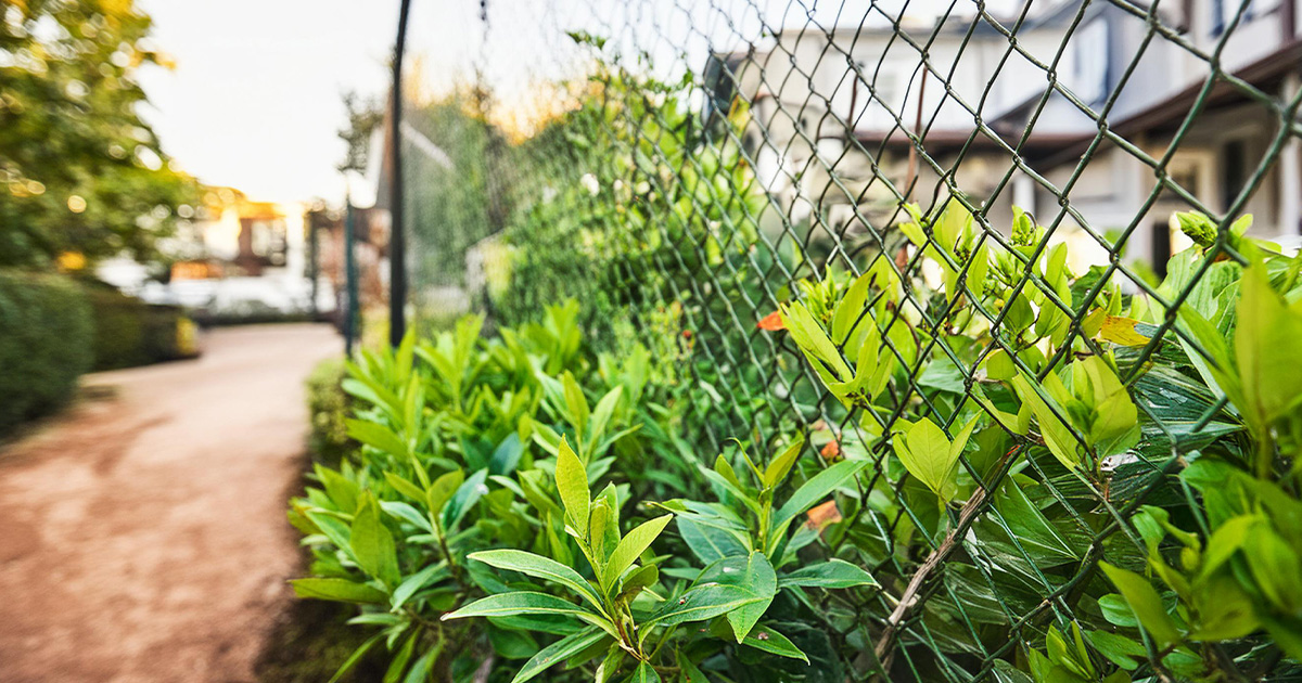 top chain link fence top chain link fence