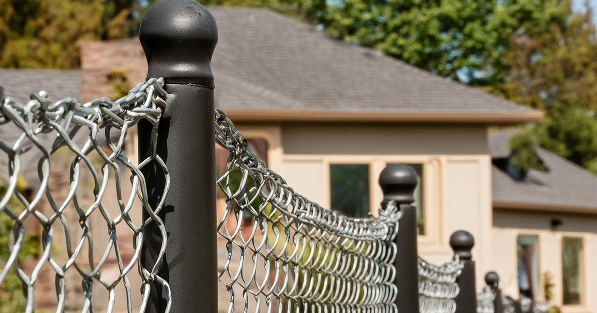 asthectic appeal in chain link fence asthectic appeal in chain link fence