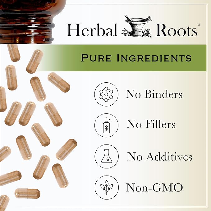 GInger Root GInger Root