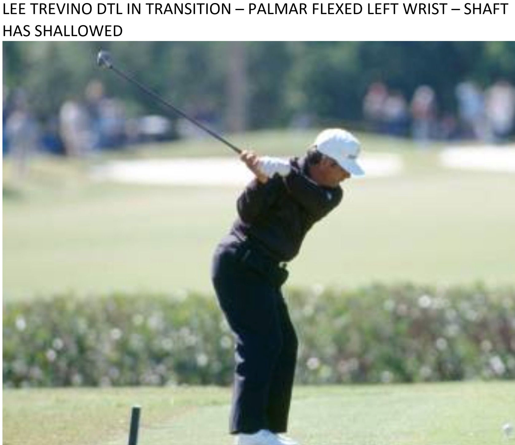 Lee Trevino Shallowing Lee Trevino Shallowing