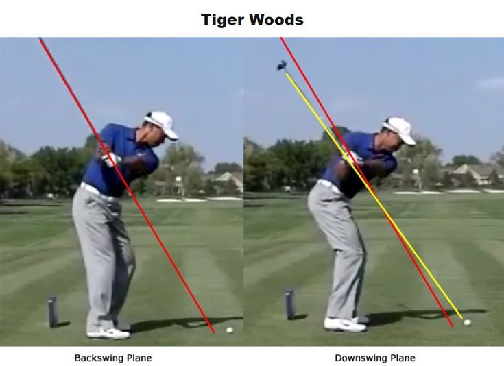 Tiger Shallowing Tiger Shallowing