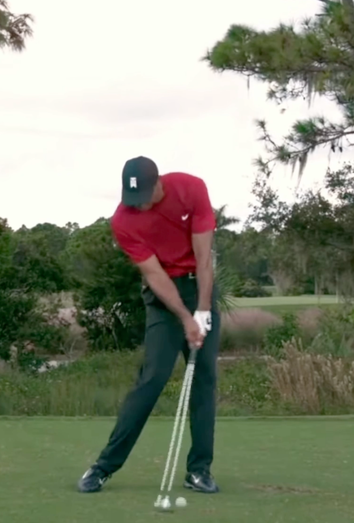 tiger woods impact tiger woods impact
