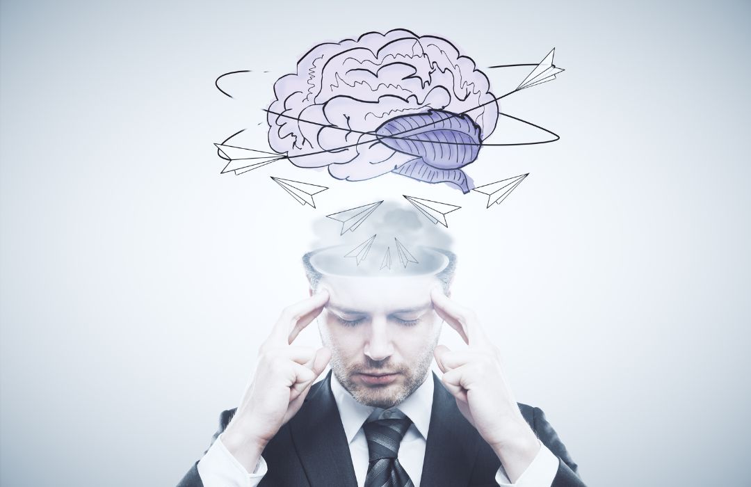 brain