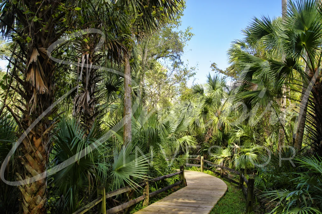 Ocala Ocala