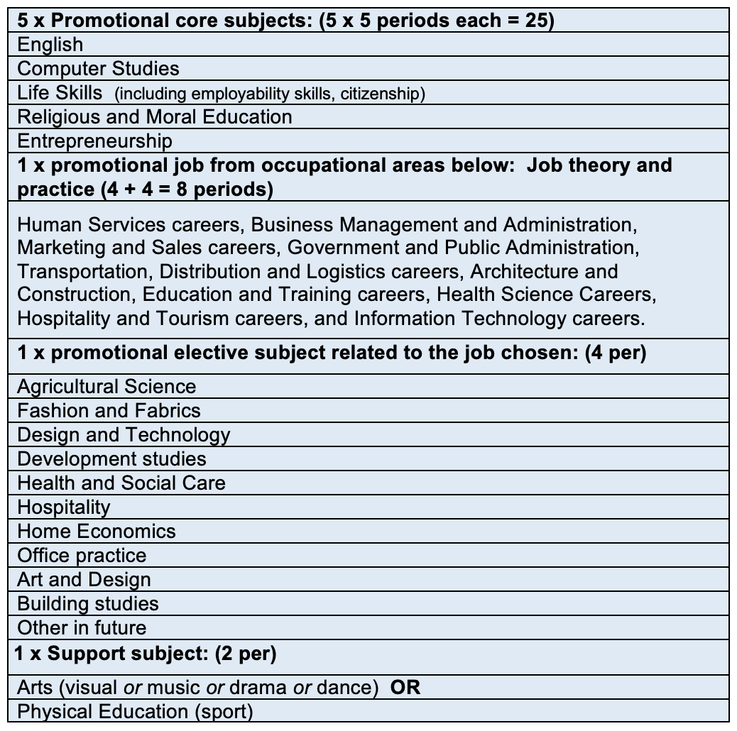 Proposal for a Senior Secondary job-oriented curriculum (gr 10-11)