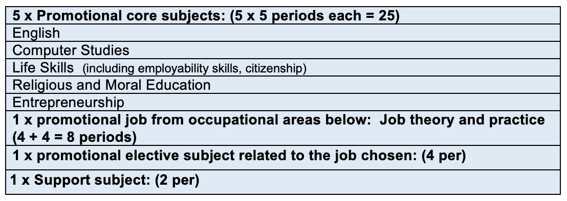 Senior Secondary job-oriented curriculum (gr 10-11)