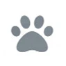 Cat Emergency Treatments Lodi CA