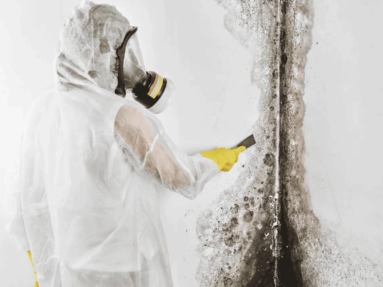 Worker in protective gear performing water damage restoration on a moldy wall.