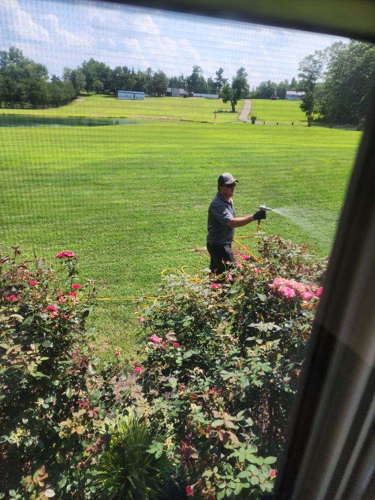 Team Member at Work