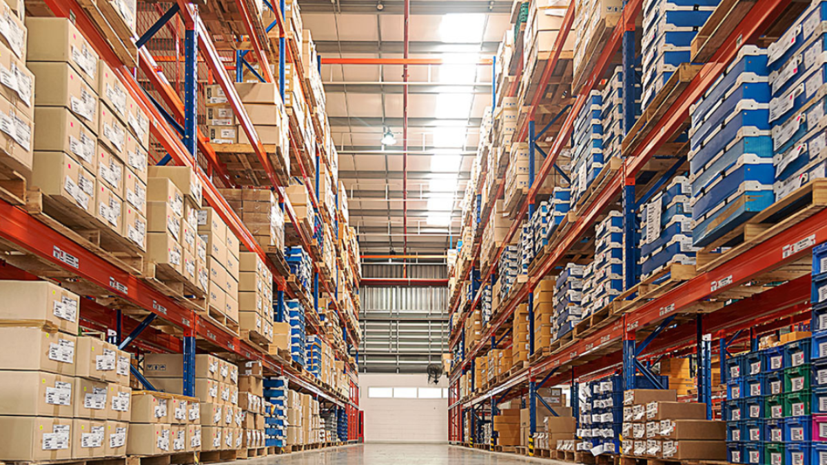 Warehouse Pest Control