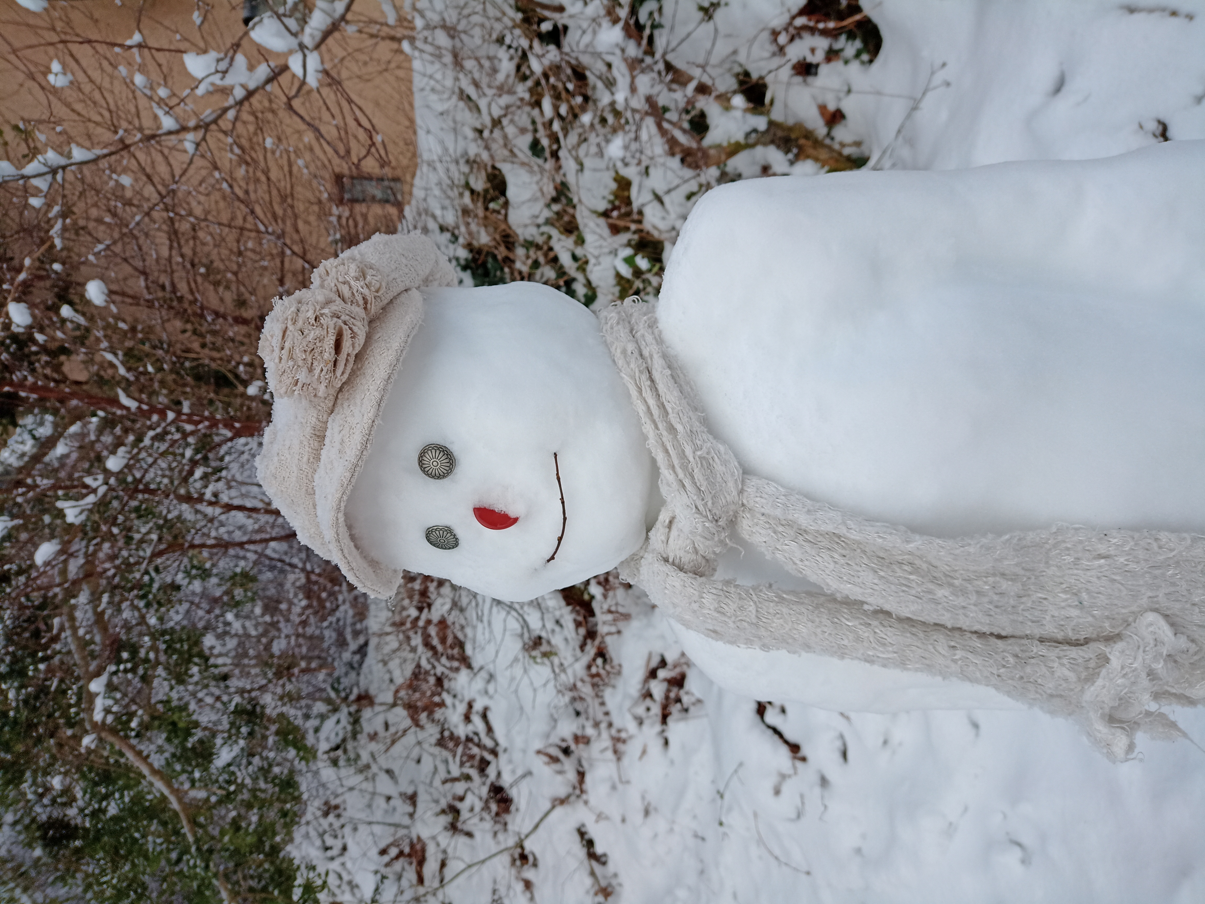 Snowlady with button eyes and nose, a grassy smile, and white hat and scarf!