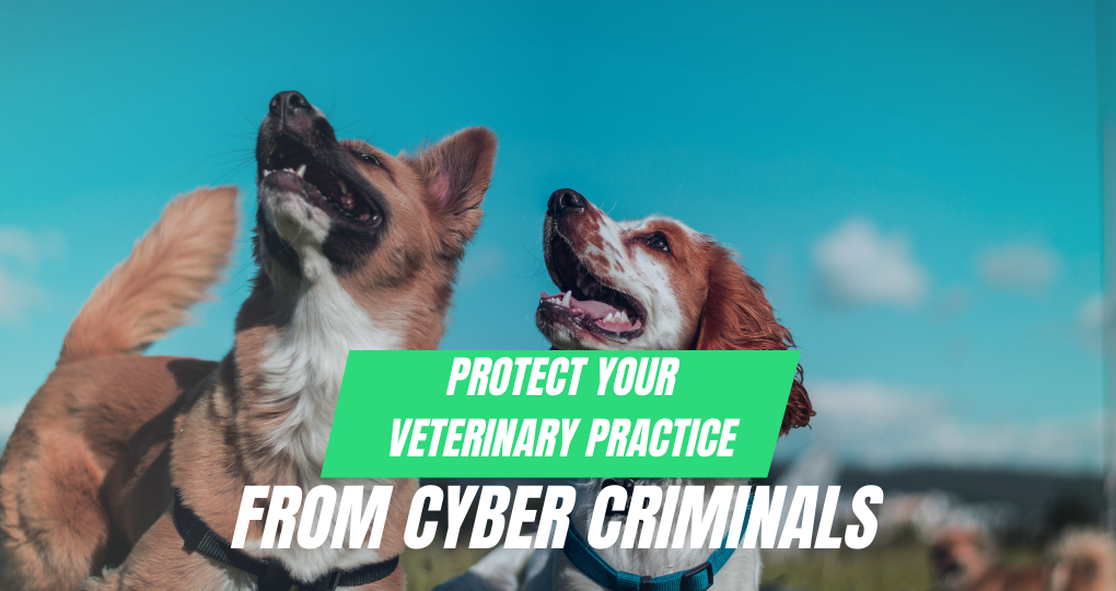 How do I Protect my Veterinary Practice from Cyber Attacks?