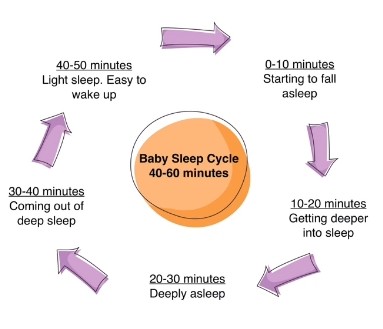 picture of a sleep cycle picture of a sleep cycle