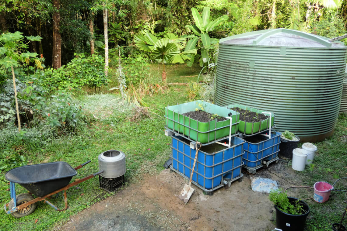 Our DIY aquaponics system consisting of two fish tanks on the bottom with two growing beds on top Our DIY aquaponics system consisting of two fish tanks on the bottom with two growing beds on top