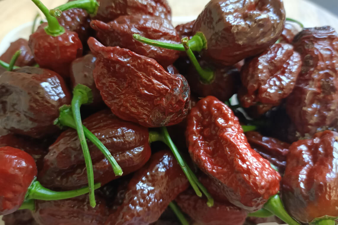 Close-up of a pile of ripe Chocolate Bhutlah peppers with deep brown, wrinkled skin and dark green stems Close-up of a pile of ripe Chocolate Bhutlah peppers with deep brown, wrinkled skin and dark green stems