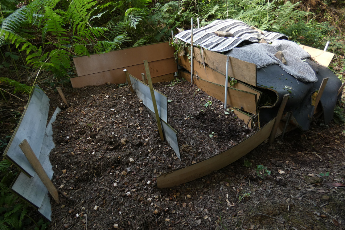A homemade compost pile surrounded by green ferns. A homemade compost pile surrounded by green ferns.
