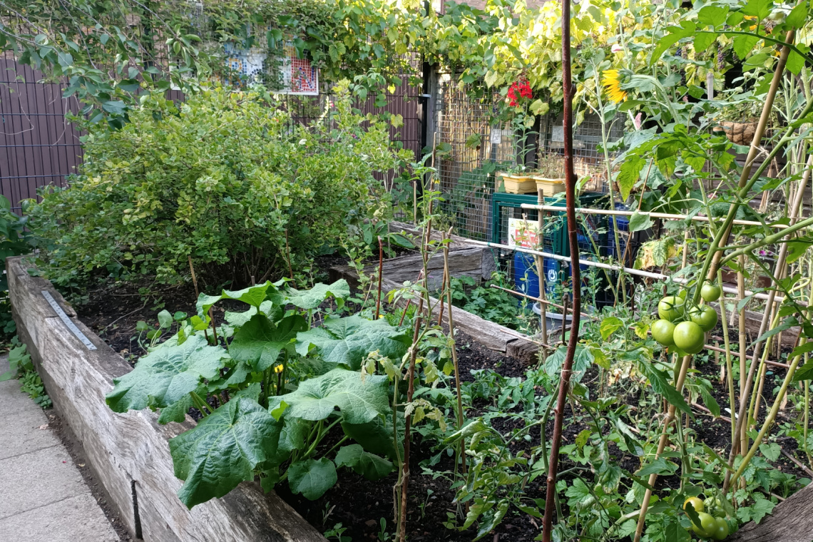 A garden bed in a community garden filled with various vegetables. A garden bed in a community garden filled with various vegetables.
