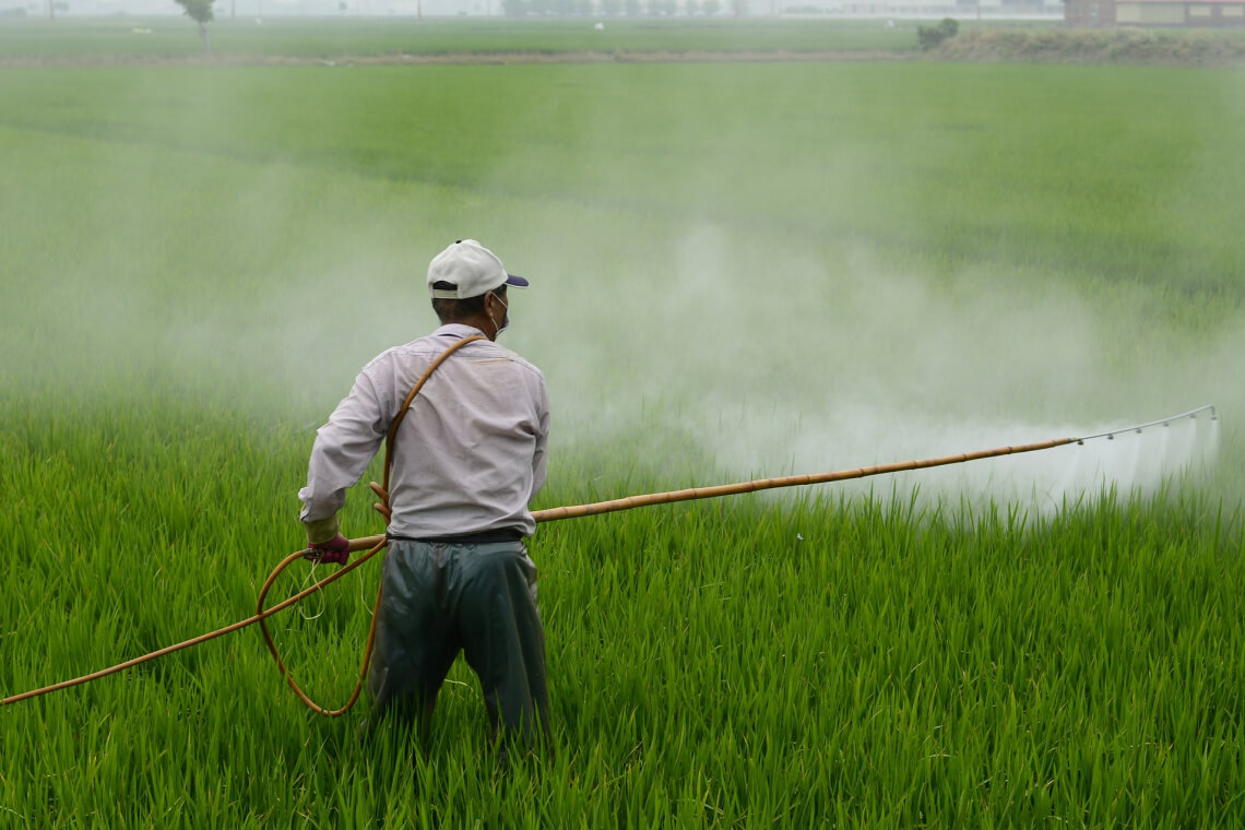 A farmer spraying pesticides on a field, a conventional farming practice that many homesteaders avoid by growing their own chemical-free food. A farmer spraying pesticides on a field, a conventional farming practice that many homesteaders avoid by growing their own chemical-free food.