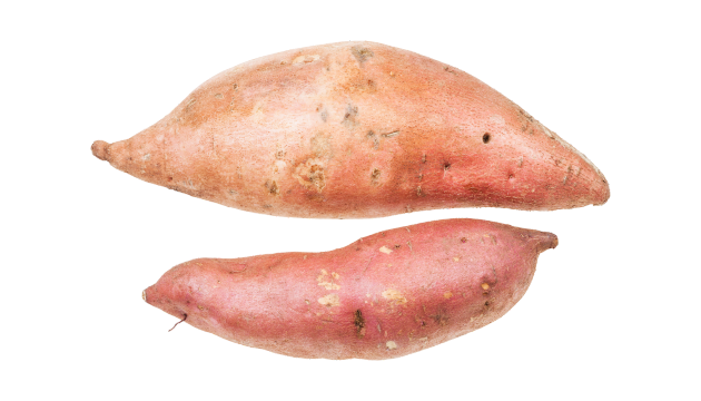 sweet potato 