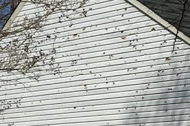 Hail Damage 3 Hail Damage 3