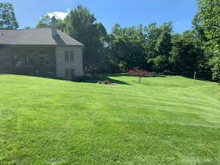 Experience the art of landscaping with our professional touch.Experience the art of landscaping with our professional touch.Experience the art of landscaping with our professional touch.