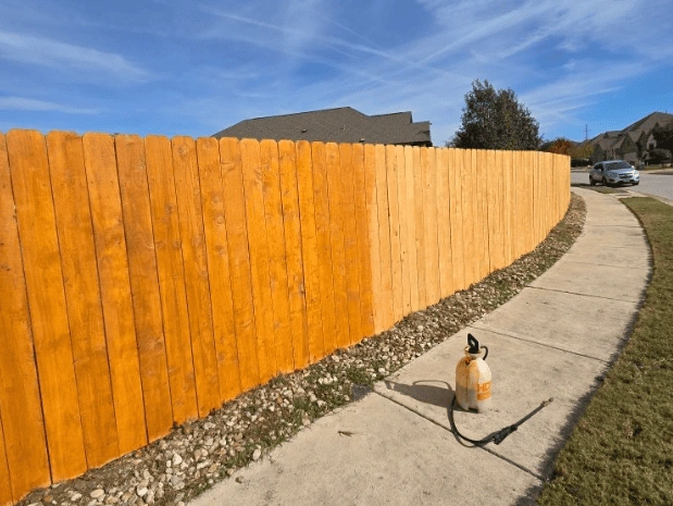 a wooden fence being painted as part of a yard remodeling project, with a sprayer nearby.