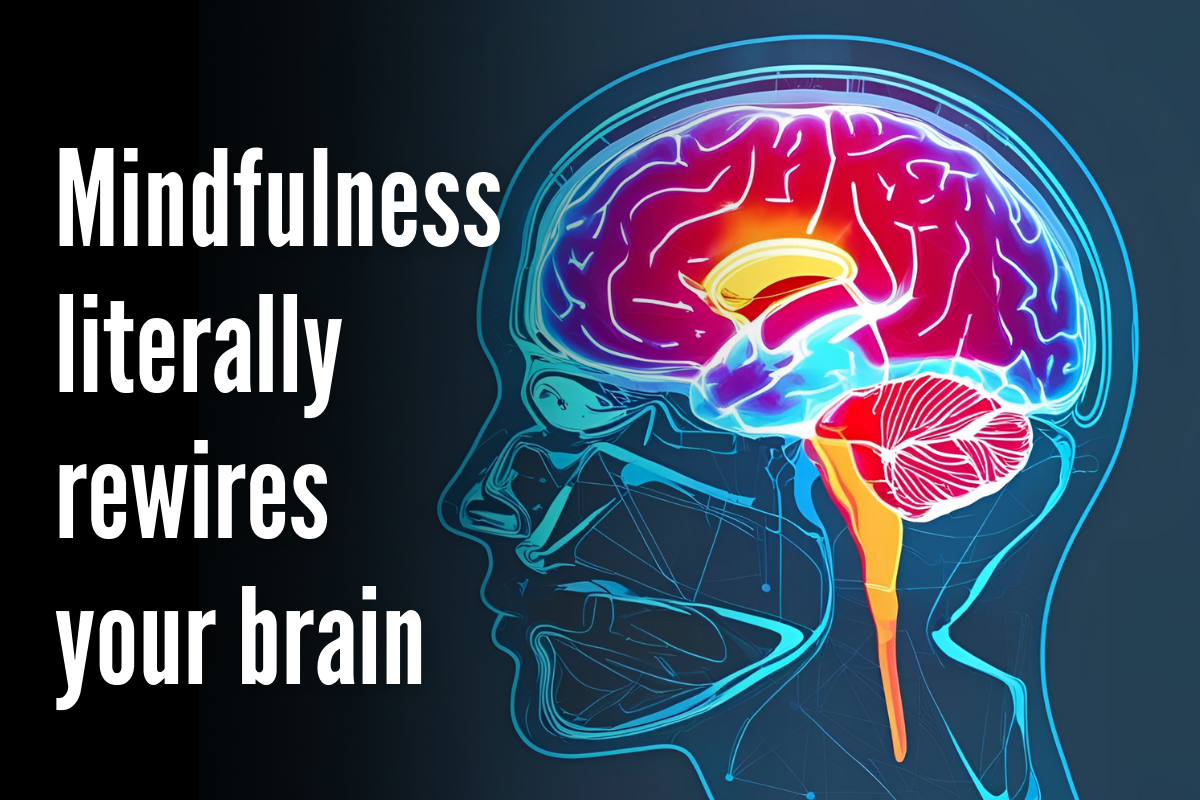 Brain illustration indicating attention activated by mindfulness Brain illustration indicating attention activated by mindfulness
