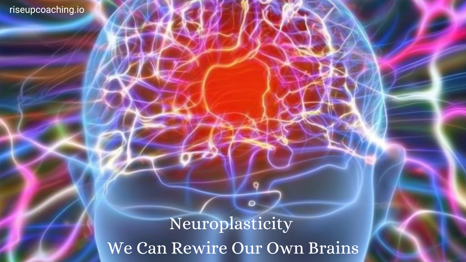 Neuroplasticity of CNS