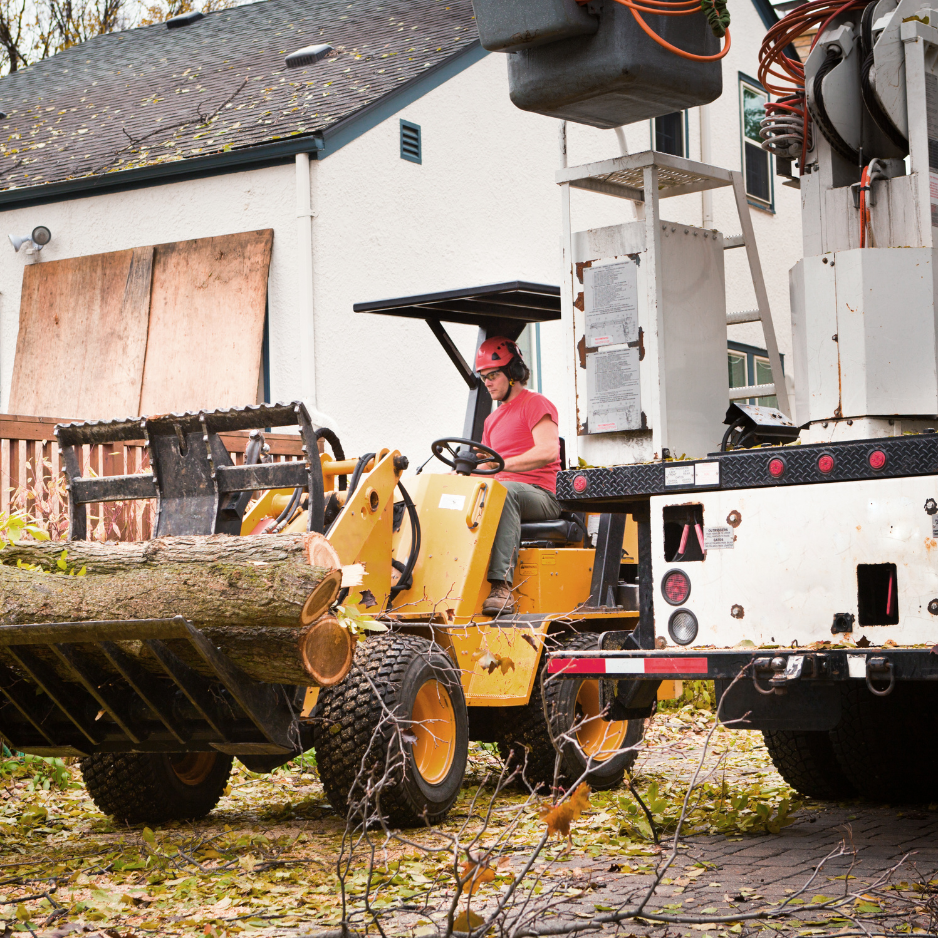 Not Sure? Let the Pros Take a Look Not every tree showing wear and tear needs to come down. Some just need a little TLC—maybe a strategic pruning or treatment plan. But you don’t want to be guessing with a 40-foot oak next to your roof. That’s where we come in. At Burke’s Tree Service, we’ve been helping New Hampshire homeowners figure this stuff out for over four decades. We’ll come out, assess the situation, and give you honest advice—no scare tactics, no pressure, and no nonsense. Not Sure? Let the Pros Take a Look Not every tree showing wear and tear needs to come down. Some just need a little TLC—maybe a strategic pruning or treatment plan. But you don’t want to be guessing with a 40-foot oak next to your roof. That’s where we come in. At Burke’s Tree Service, we’ve been helping New Hampshire homeowners figure this stuff out for over four decades. We’ll come out, assess the situation, and give you honest advice—no scare tactics, no pressure, and no nonsense.