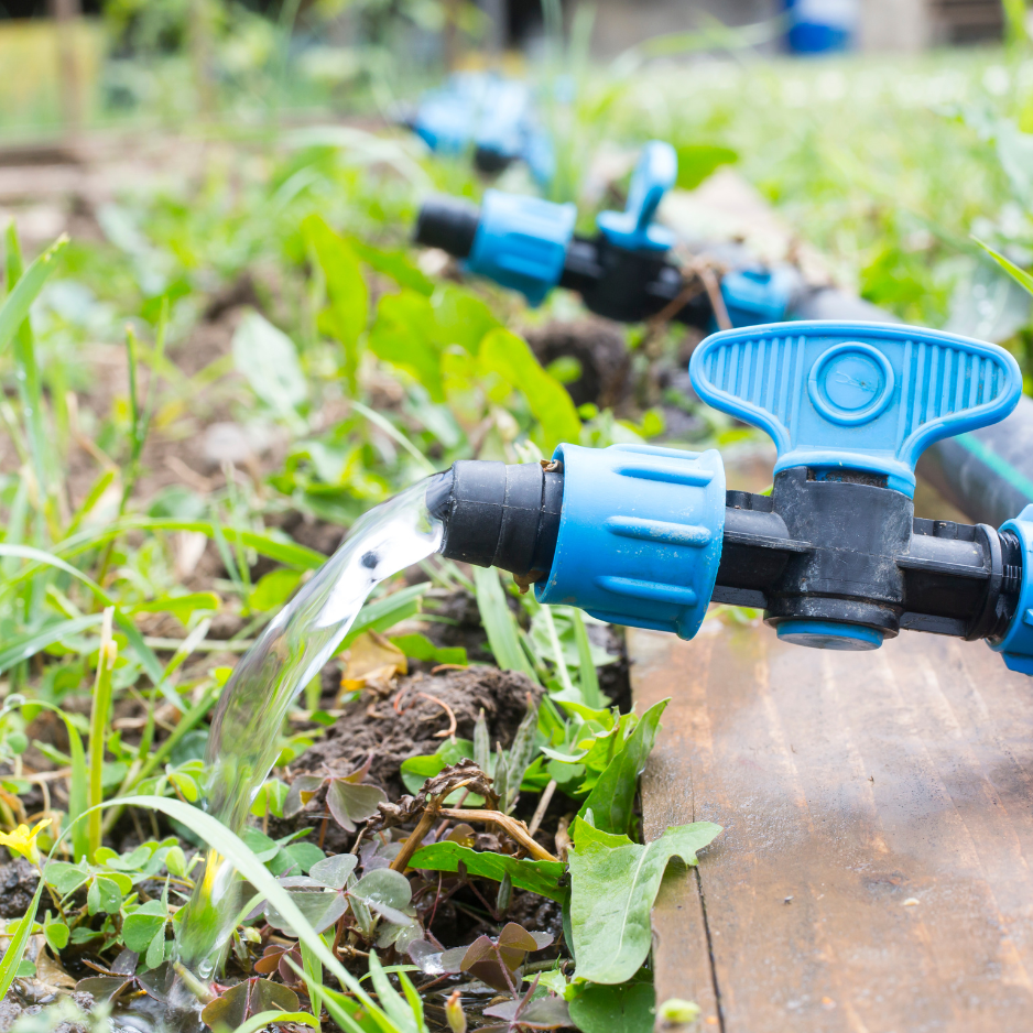 Why locals trust Burke’s Tree Service for irrigation Why locals trust Burke’s Tree Service for irrigation