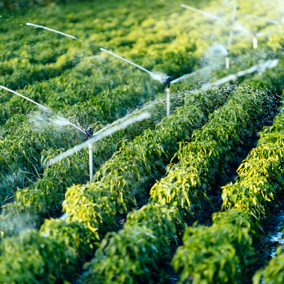 Is Your Irrigation System Ready for Spring? Is Your Irrigation System Ready for Spring?