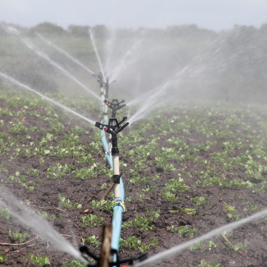 What does a professional irrigation start-up include? What does a professional irrigation start-up include?