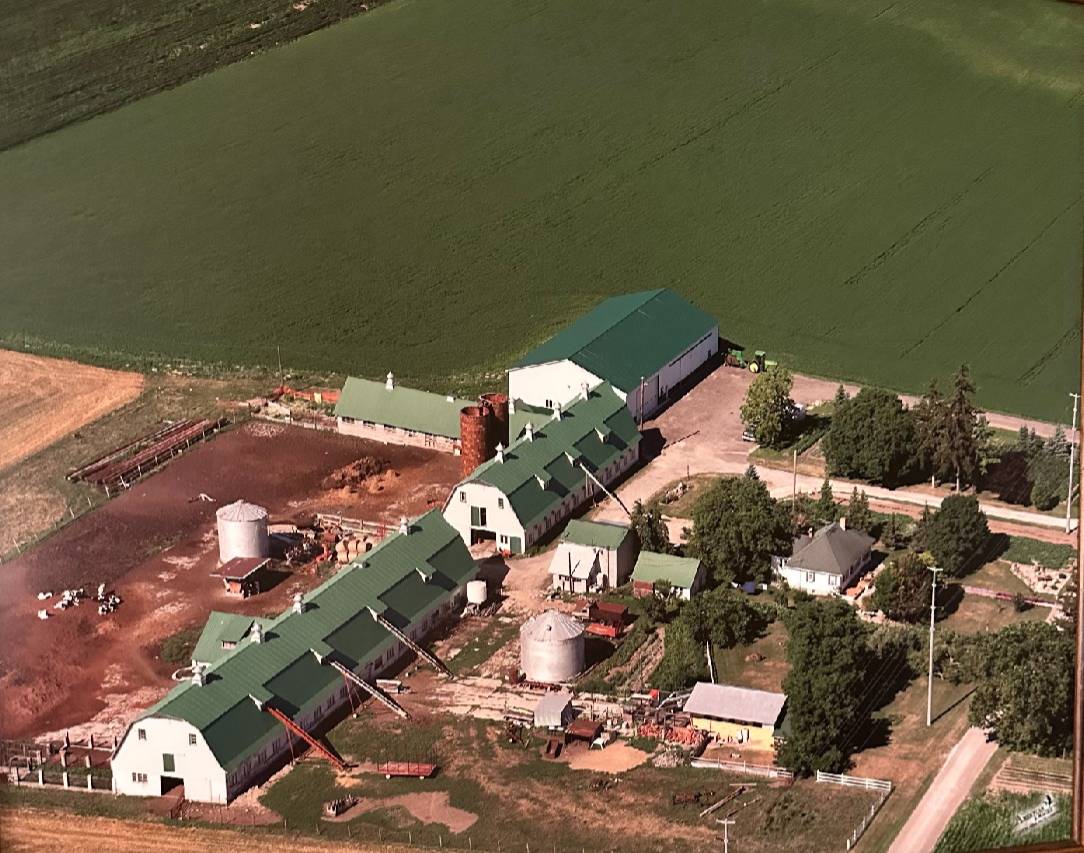 Image in small organic farm that author grew up on