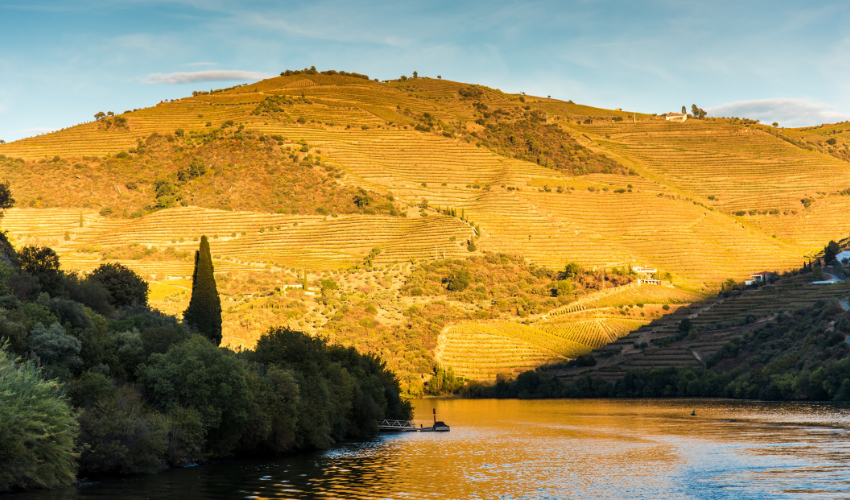 Cruising the Douro River: A Scenic Adventure Cruising the Douro River: A Scenic Adventure