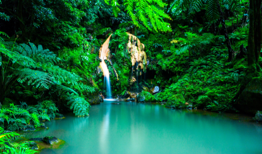 São Miguel São Miguel