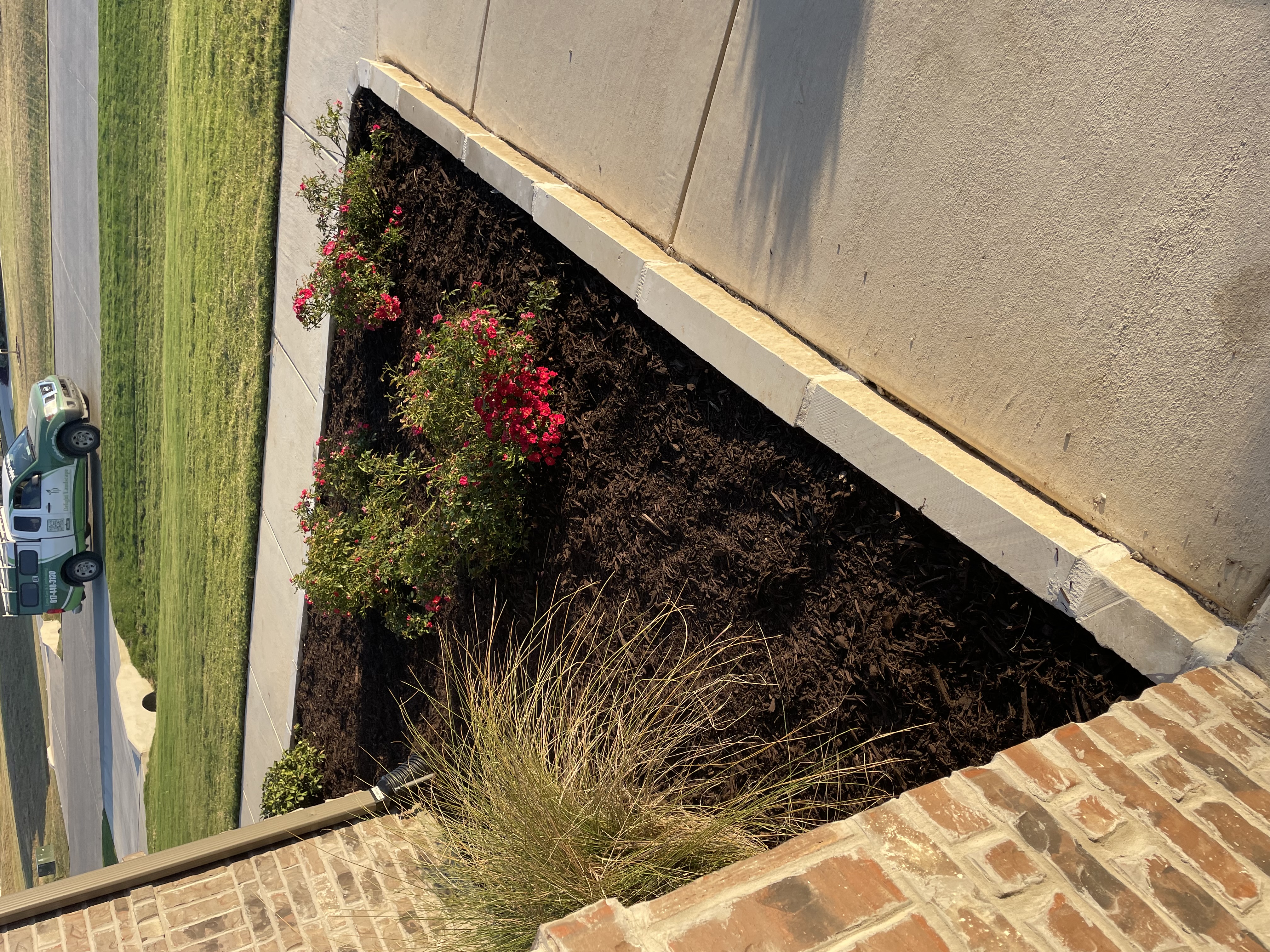 Downspout drainage fix Reno TX Delight Landscape