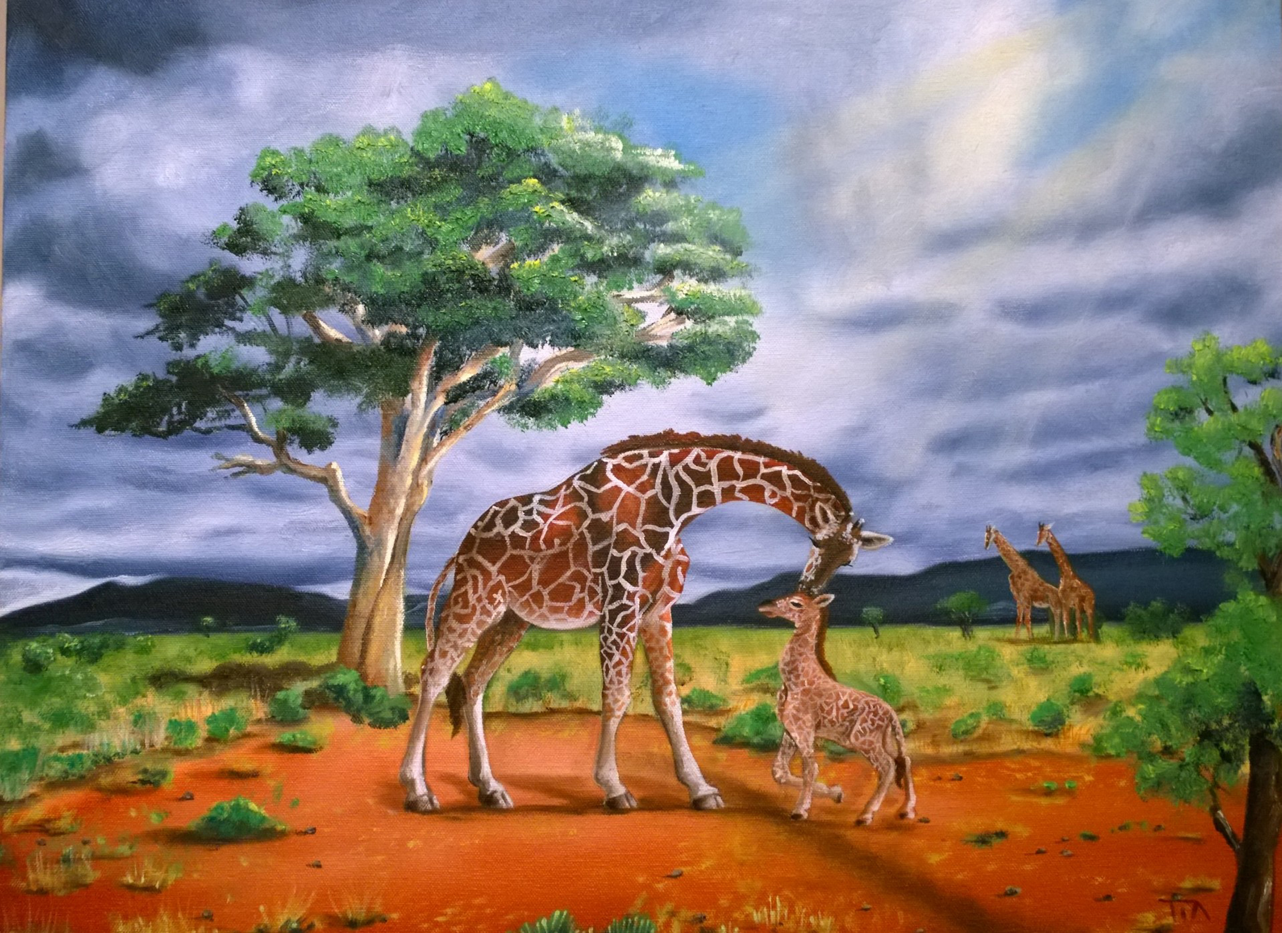 collection-image