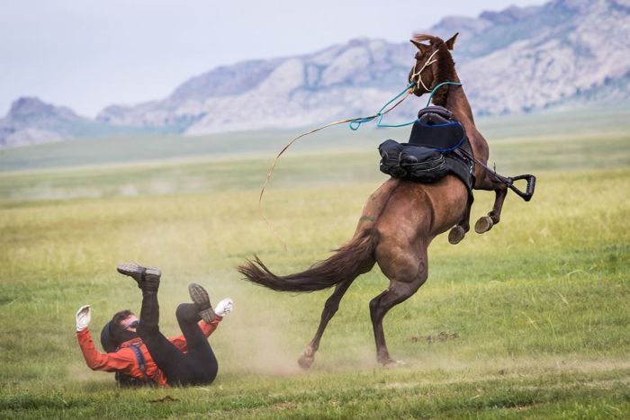 regenerative medicine active lifestyle horseback riding