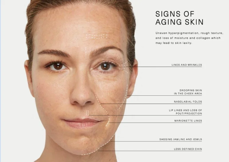 skin aging love the skin you're in