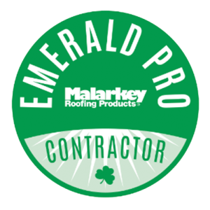 Logo 4