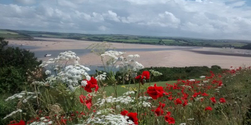 Counselling and hypnotherapy for post traumatic stress disorder (PTSD) and trauma