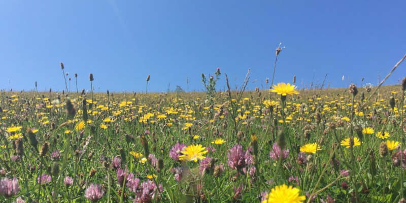 Counselling and Hypnotherapy for Depression Relief and Recovery