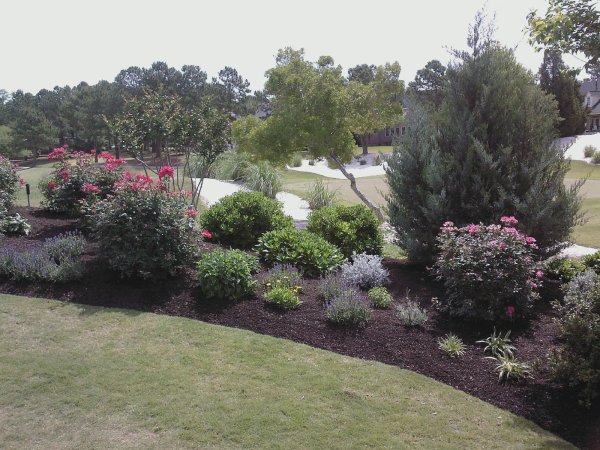 Lawn Restoration